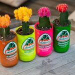 The Magic of Upcycling and Repurposing