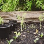 3 Elements of Sustainable Development Explained